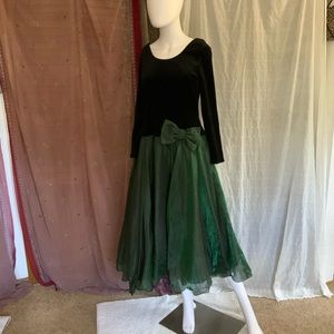 Formal green and black velvet Opera dress 14